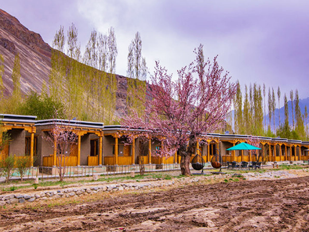 Shangrila Resort Nubra  Deluxe Hotel in Nubra Valley